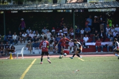 A11